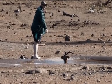 Rešitev inpra (črne obrazne antilope) iz jame