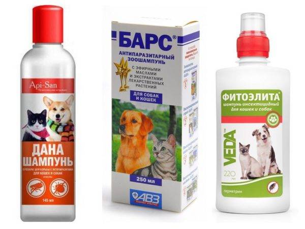 Flea-šampon za pse