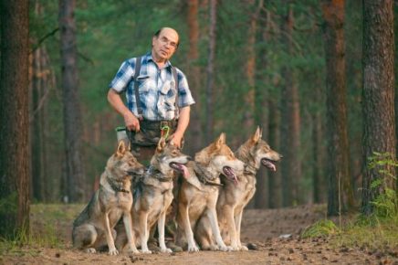 Volkodlaki